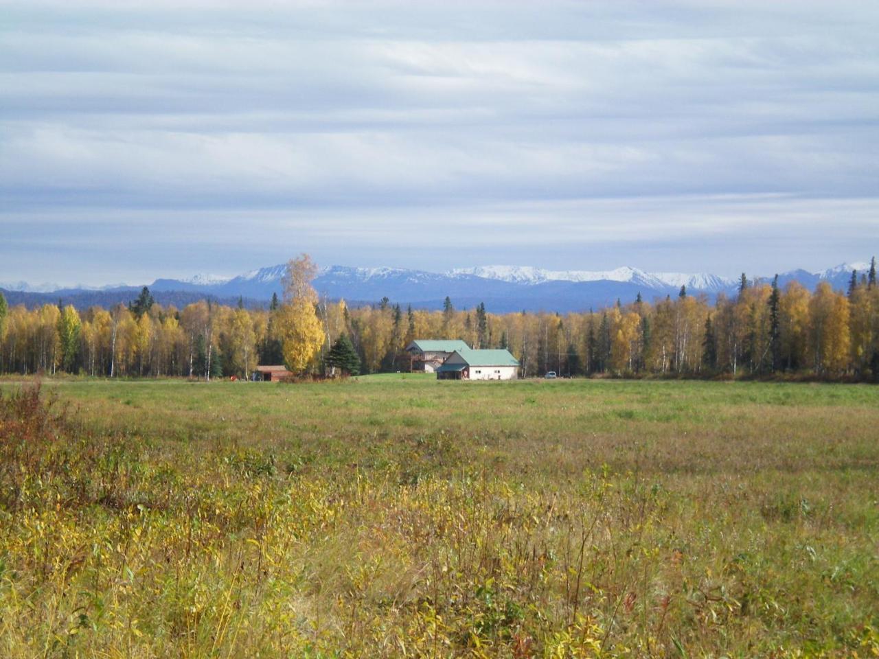 Mckinley View B&B Trapper Creek Exterior foto
